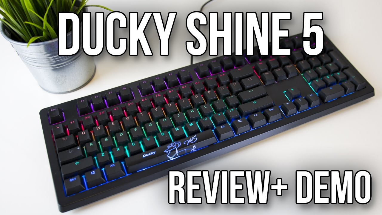 Ducky Shine 5