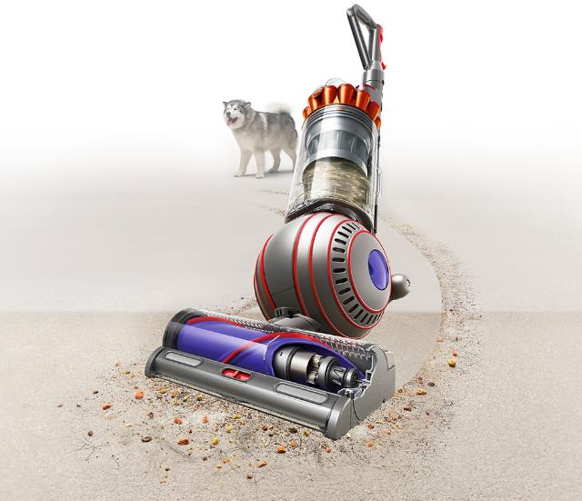 Dyson Ball Animal