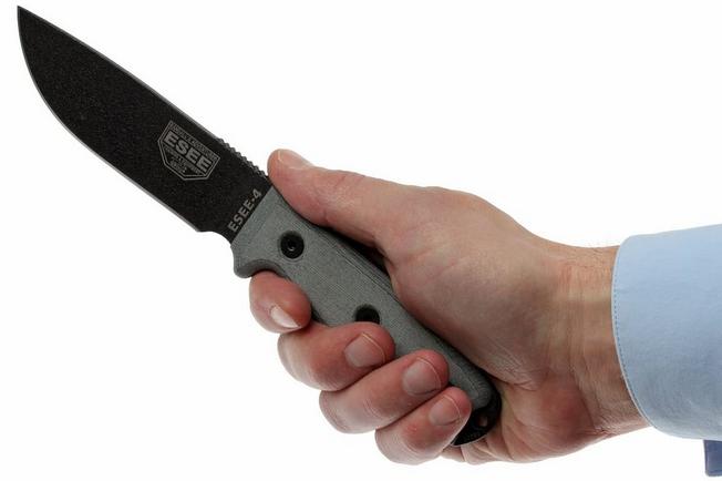 ESEE-4