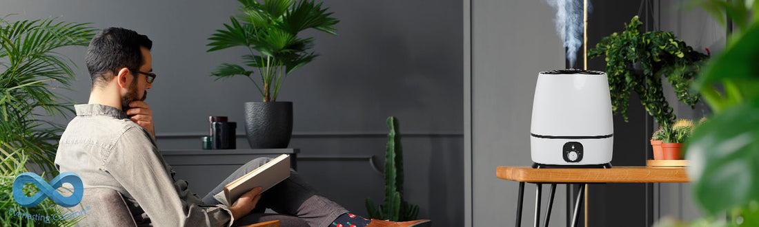 Everlasting Comfort Humidifier