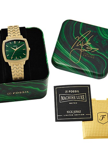 Fossil Nicholas Belt