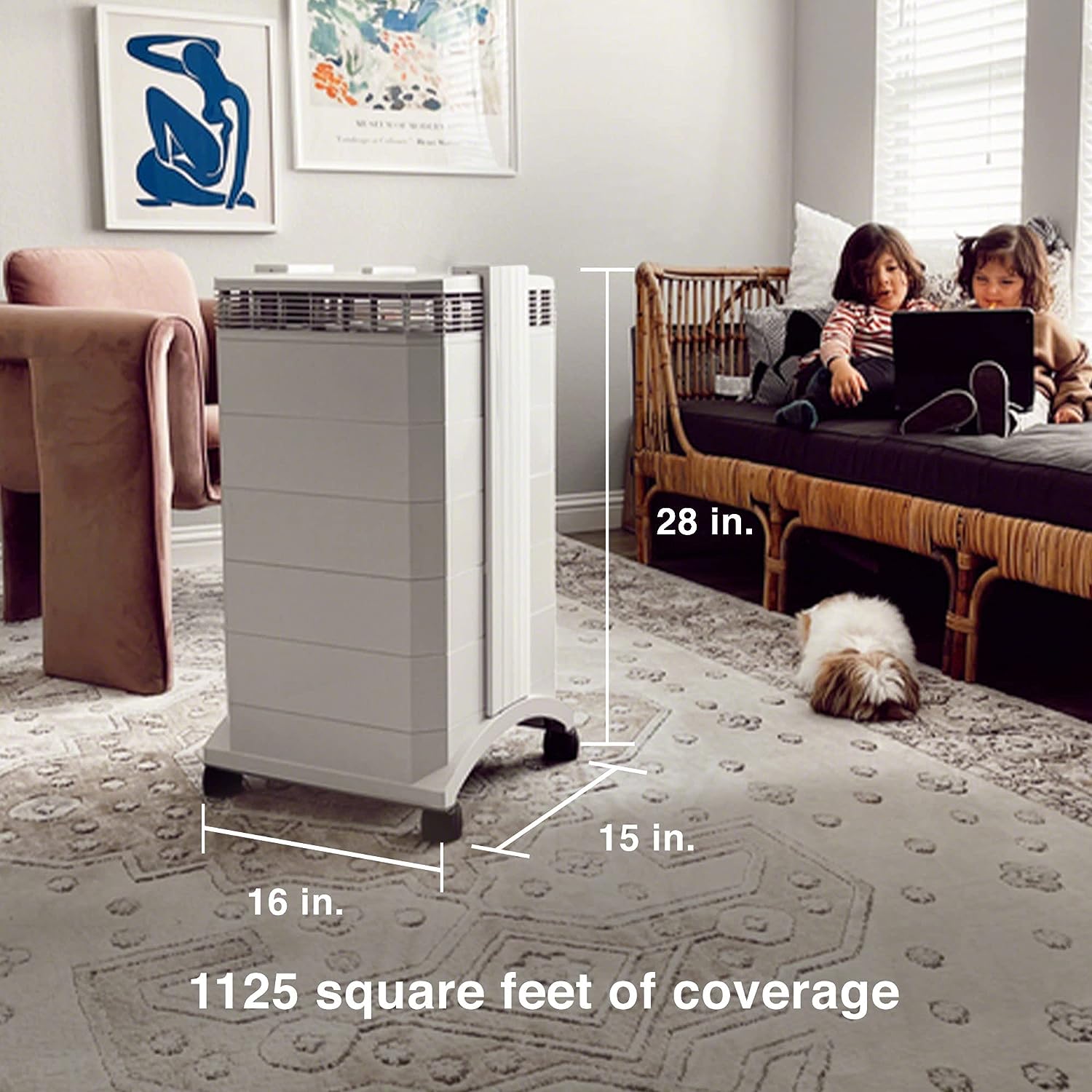 IQAir HealthPro Plus