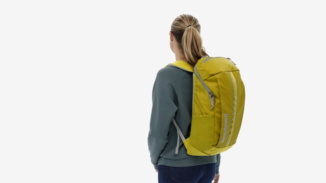Patagonia Black Hole Pack