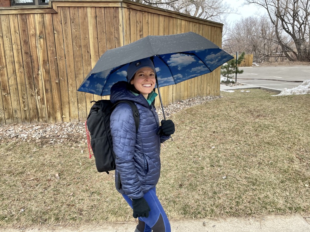 Repel Windproof Travel Umbrella