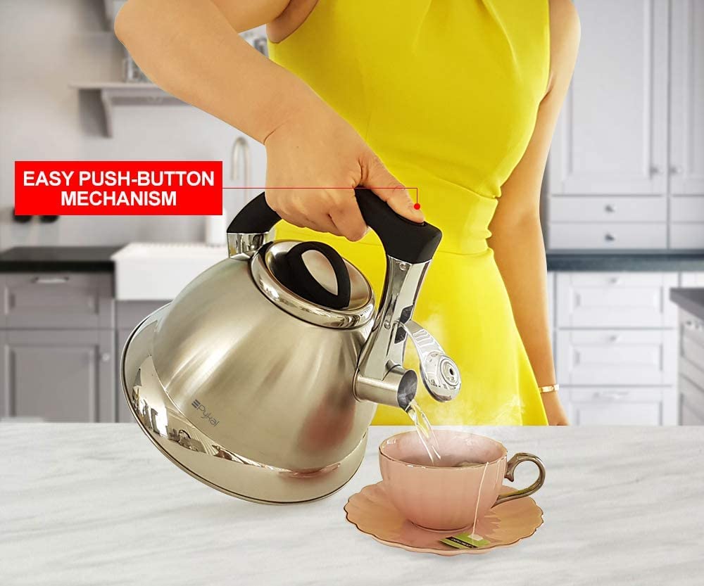 Whistling Tea Kettle with iCool